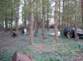 DSC00016.jpg