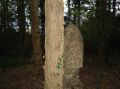 DSC00043.jpg