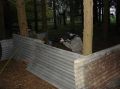 DSC00046.jpg