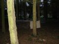 DSC00050.jpg