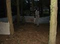 DSC00051.jpg