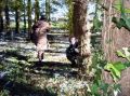 DSC00016.jpg
