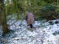 DSC00017.jpg