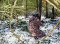 DSC00018.jpg