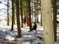 DSC00021.jpg