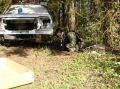 DSC00026.jpg