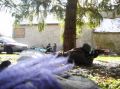 DSC00028.jpg