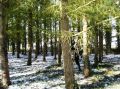 DSC00029.jpg