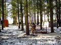DSC00030.jpg