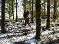 DSC00046.jpg