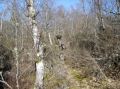 DSC00032.JPG