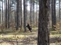 DSC00016.JPG