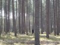 DSC00018.JPG