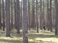 DSC00020.JPG