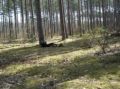 DSC00031.JPG