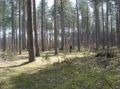 DSC00033.JPG