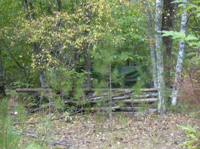 DSCN0011.jpg