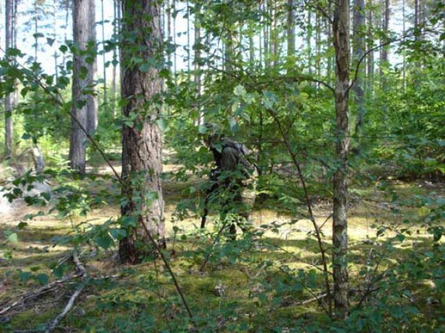 DSC00006.jpg
