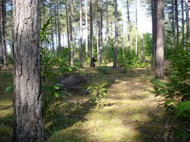 DSC00008.jpg