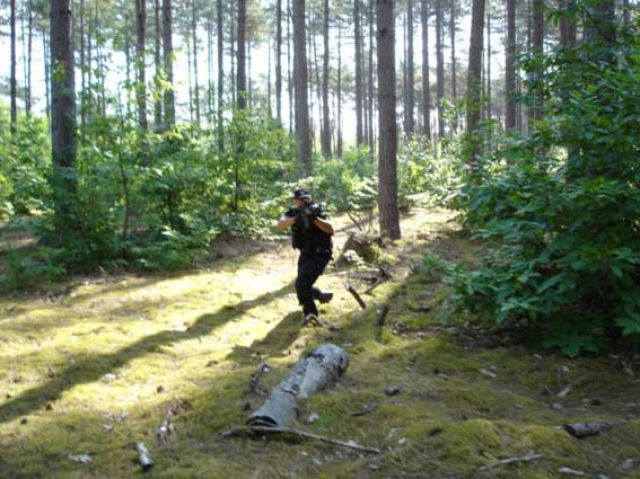 DSC00017.jpg