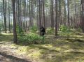 DSC00015.jpg