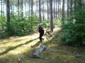 DSC00017.jpg