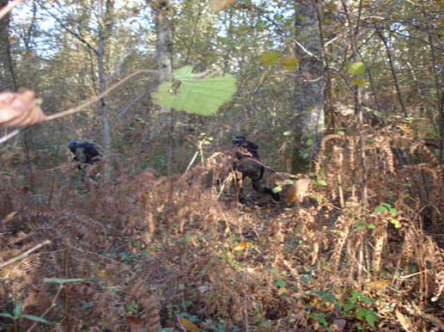 DSC00003.jpg