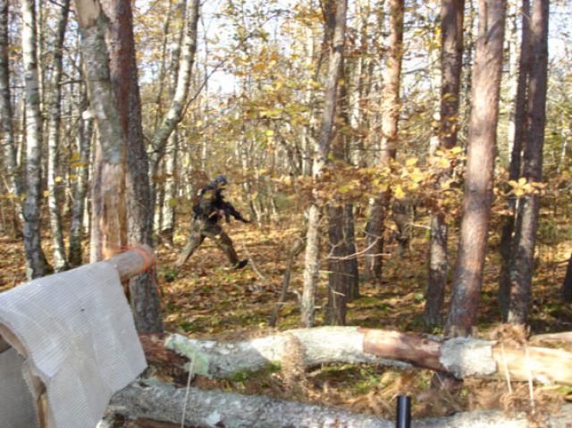 DSC00043.jpg