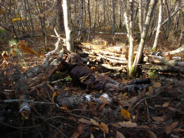 DSC00045.jpg