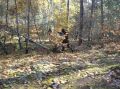 DSC00052.jpg