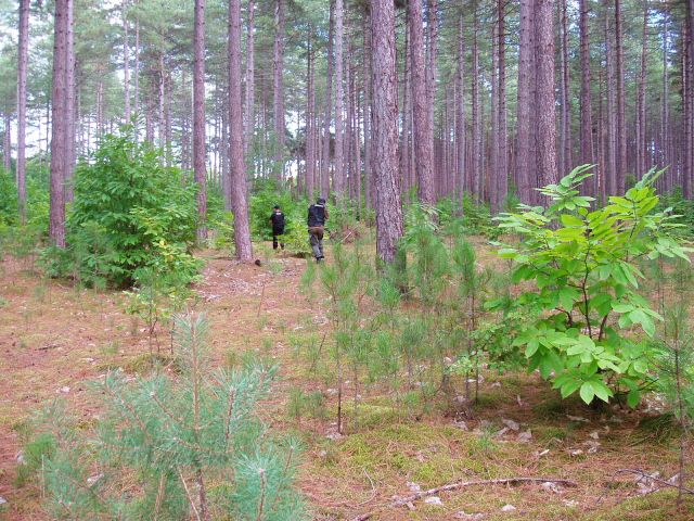 P9030022.JPG