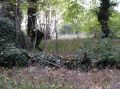 PB110247.JPG