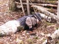 PICT0078.JPG