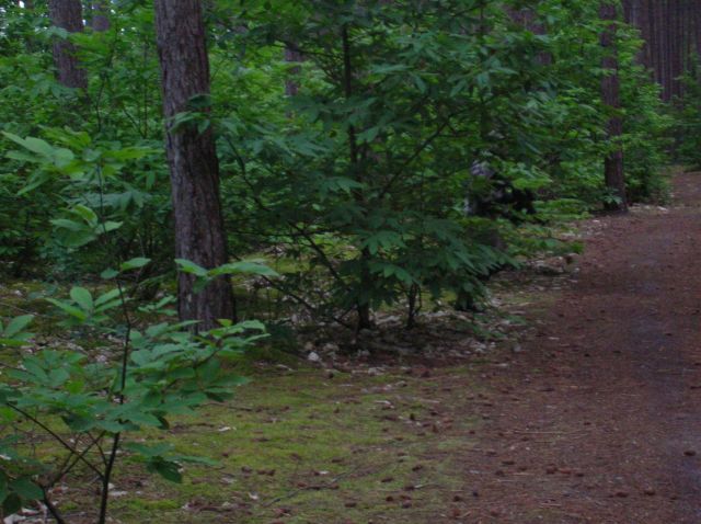 DSCN1419.JPG