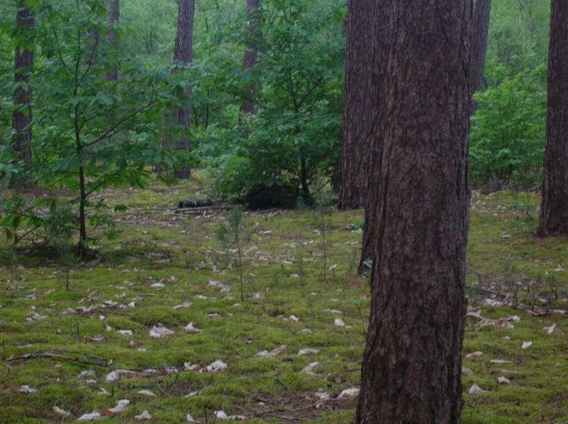 DSCN1434.JPG