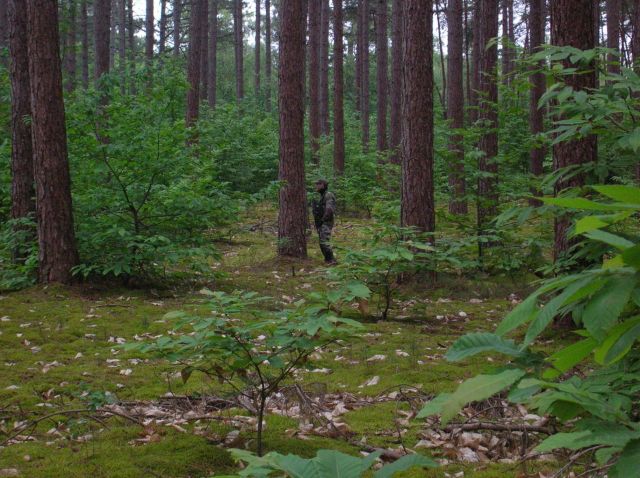 DSCN1436.JPG