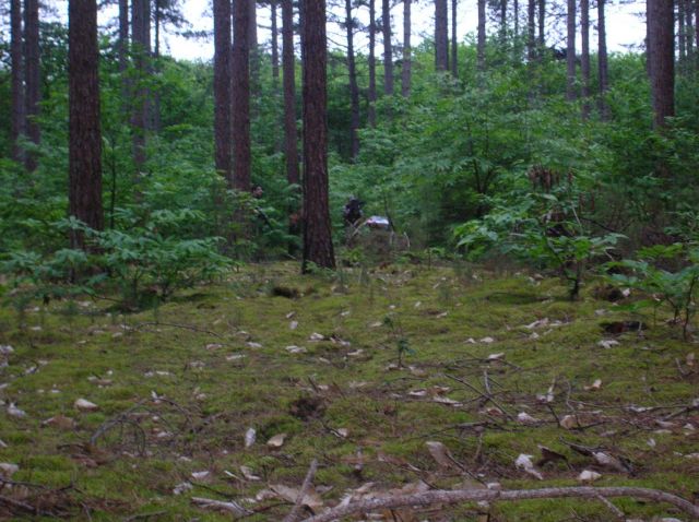 DSCN1445.JPG