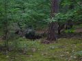 DSCN1418.JPG
