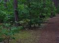 DSCN1419.JPG