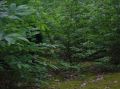 DSCN1420.JPG