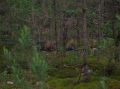 DSCN1422.JPG