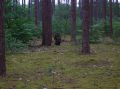 DSCN1425.JPG