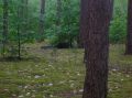 DSCN1434.JPG