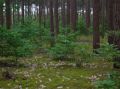 DSCN1435.JPG