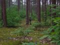 DSCN1436.JPG