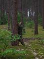 DSCN1437.JPG