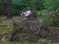 DSCN1438.JPG