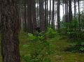DSCN1439.JPG