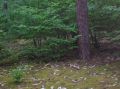 DSCN1441.JPG