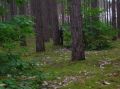 DSCN1442.JPG